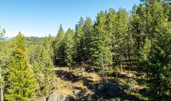 266 Eagle Bend Dr, Bigfork, MT 59911