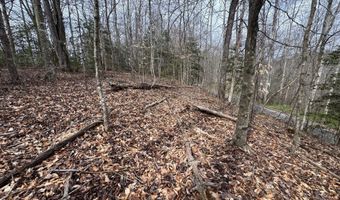 Honey Creek Loop Rd, Allardt, TN 38504