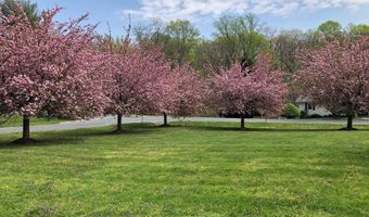 17724 TREE LAWN Dr, Ashton, MD 20861