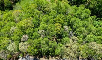 9999 Bee Balm Way 55, Asheville, NC 28804