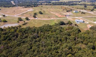 330 Rolling Ranch Blvd, Alvord, TX 76225