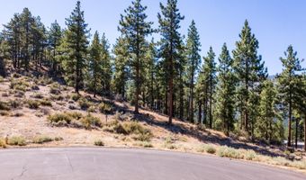 282 Gray Mill Ct Lot C9, Carson City, NV 89705