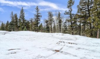 Rainbow Overlook Lot 1229RE Amended A, Angel Fire, NM 87710