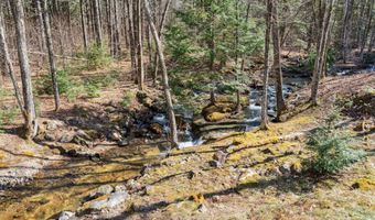 65 Moose Mountain Rd, Brookfield, NH 03872