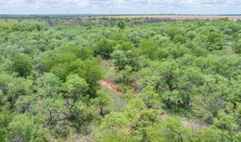 CR 260, Anson, TX 79501