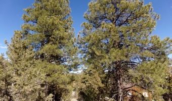 2805 N Dead Horse Lp, Alton, UT 84710