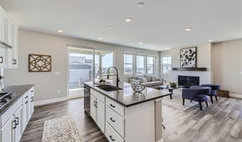 4223 Crestone Peak St Plan: Artisan 3, Brighton, CO 80601