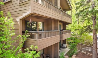 610 S West End St J202, Aspen, CO 81611