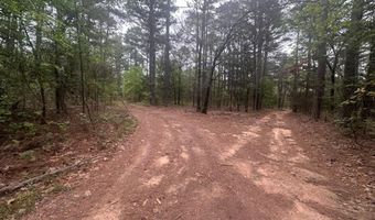 UNIT # 263B KIAMICHI WILDERNESS RD Unit # 63 63, Antlers, OK 74523