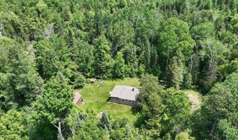 6002 Wildwood Dr, Alger, MI 48610