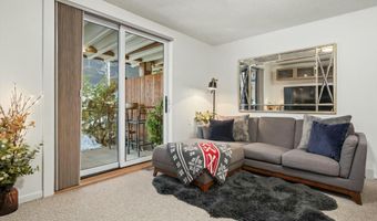 119 E Cooper Ave #5, Aspen, CO 81611
