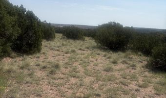 57 Navajo Dr, Concho, AZ 85924