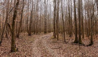 Maddox Road, Ackerman, MS 39735