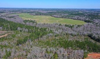 0 Tervin Mill Rd, Andalusia, AL 36421