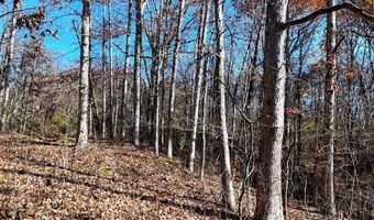 0 State Route 550, Amesville, OH 45711