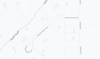 11190 Hassler Woods Trl, Alanson, MI 49706