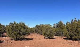 44 County Road 8114, Concho, AZ 85924