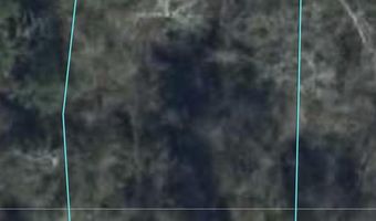 Westwood Drive lot 13, Alford, FL 32420