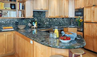 809 S Aspen St 8, Aspen, CO 81611