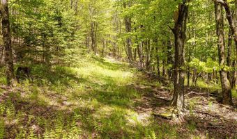 8255 County Highway 2, Andes, NY 13731