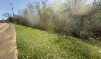 TRACT 2 W MAIN, Adamsville, TN 38310