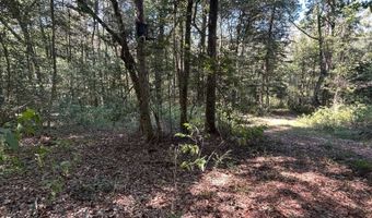 4496 State Hwy 130, Banks, AL 36005