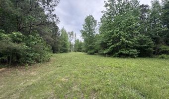 167 E W Morgan, Arcadia, LA 71001