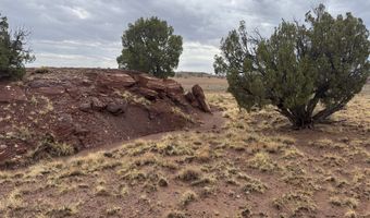 Tbd N 9326, Concho, AZ 85924