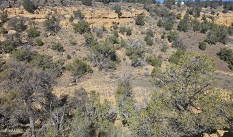 4 County Rd, Concho, AZ 85924