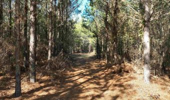 00 Hadwin Rd, Bamberg, SC 29003