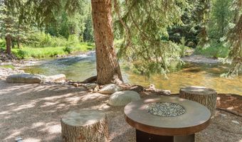 99 Shady Ln, Aspen, CO 81611