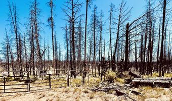 White Birch Lane lot 4, Bly, OR 97622