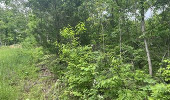 State Highway U, Ava, MO 65608