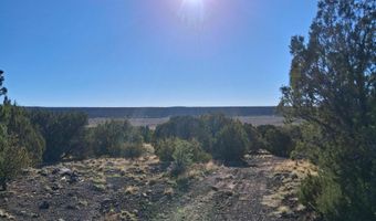 68 N 8171, Concho, AZ 85924