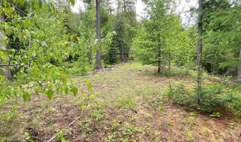 200 Woodland Star Cir, Whitefish, MT 59937