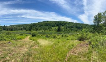 Woodland Hills Road, Andes, NY 13731