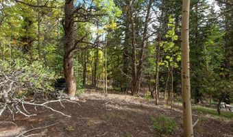 452 QUARTZVILLE Rd, Alma, CO 80420