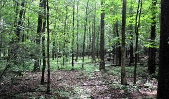 000 AVE 5 SW St, Atkins, AR 72823