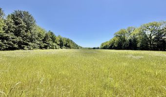 Jenkins Road, Alligator, MS 38720