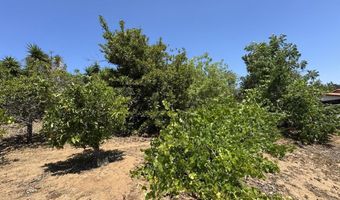 2605 Kauana Loa Dr, Escondido, CA 92029