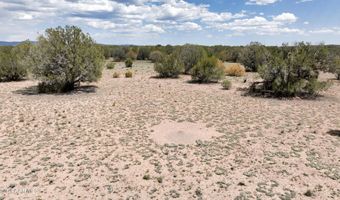 0 N Wagon Tree Rd, Ash Fork, AZ 86320