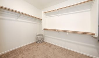 937 W Calle Tronco Seco, Sahuarita, AZ 85629