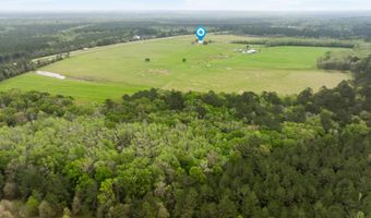 91801 U. S. Highway 98, Beaumont, MS 39423