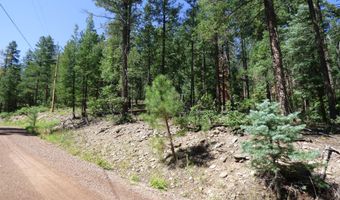 9 County Road 2073, Alpine, AZ 85920