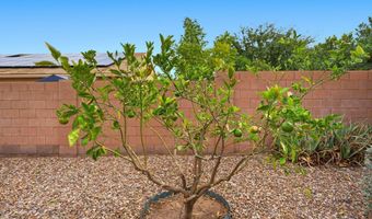 1319 E JARDIN Dr, Casa Grande, AZ 85122