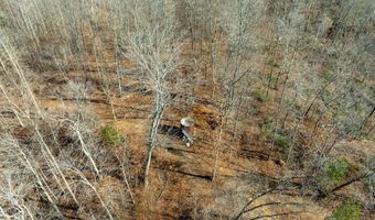 700 Acres Puncheon Creek Ln, Allred, TN 38542