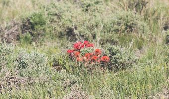 COS 947 Tract 11, Belfry, MT 59008