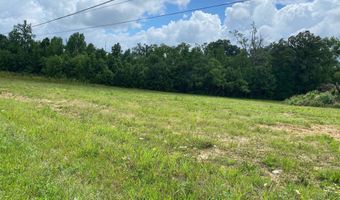 OLD MORRIS CHAPEL Rd, Adamsville, TN 38310