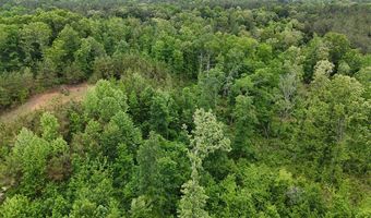 178 Lester Plunk Rd, Bethel Springs, TN 38315