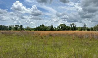 TBD NW LEVI GLN LOT 1, Lake City, FL 32055